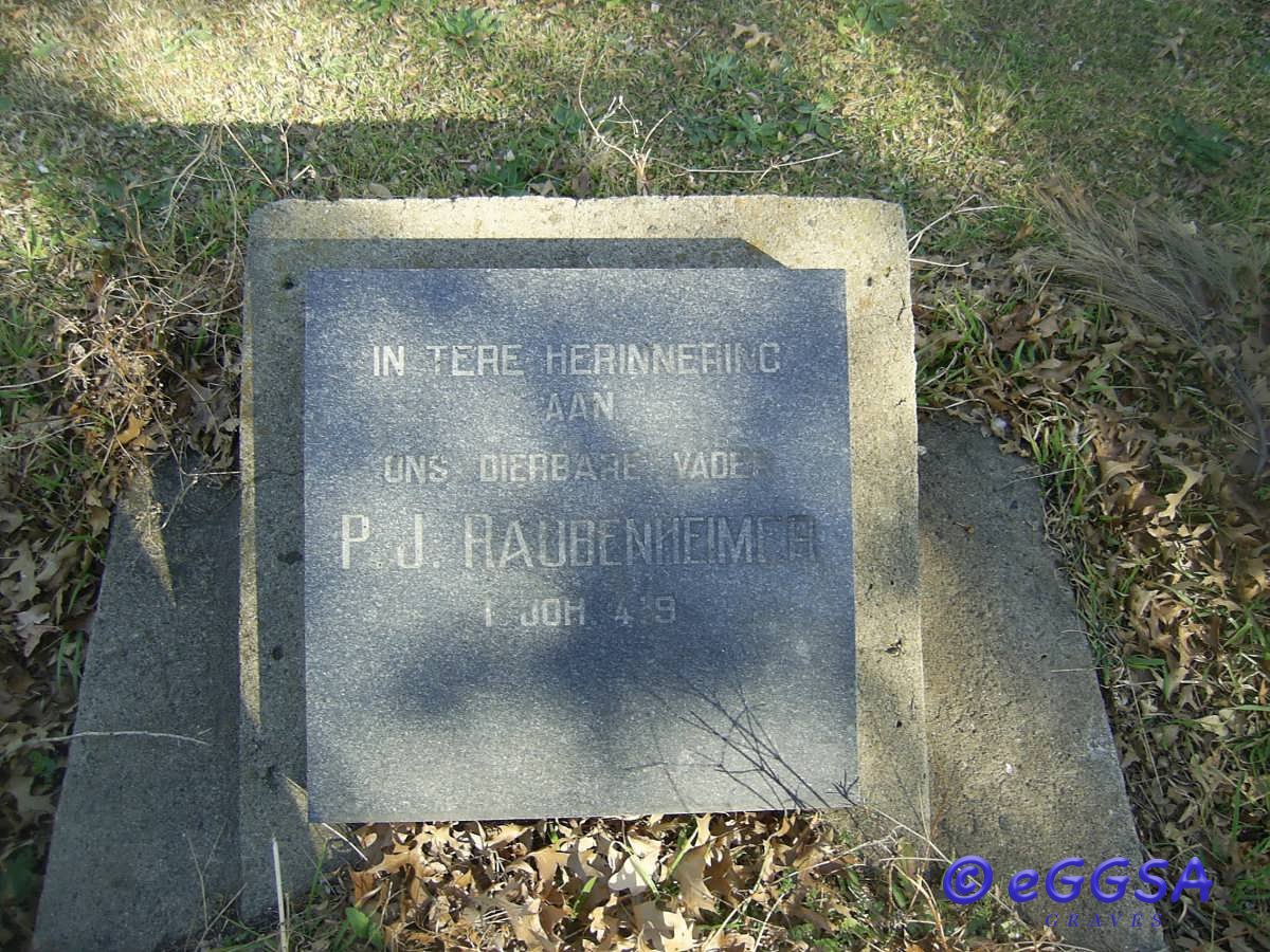 RAUBENHEIMER P.J.