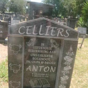 CELLIERS Anton 1955-2010