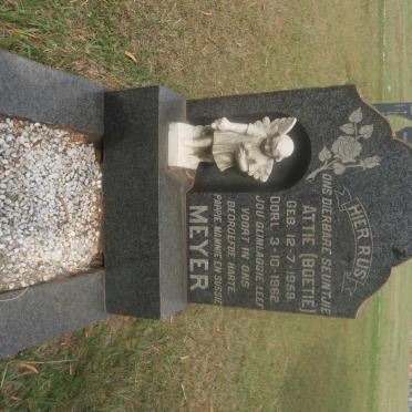 MEYER Attie 1959-1962