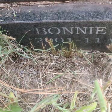 WHYMARK Bonnie 2001-