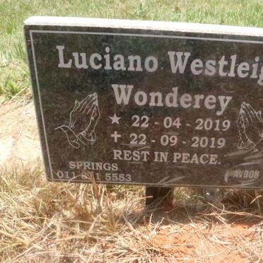 WONDEREY Luciano Westleigh 2019-2019