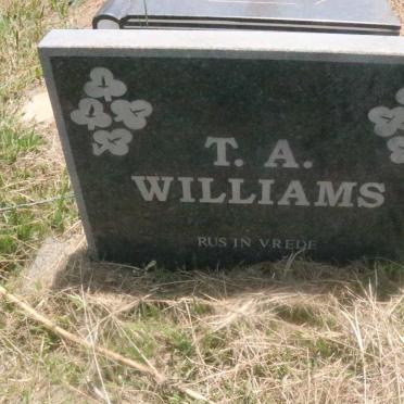 WILLIAMS T.A.