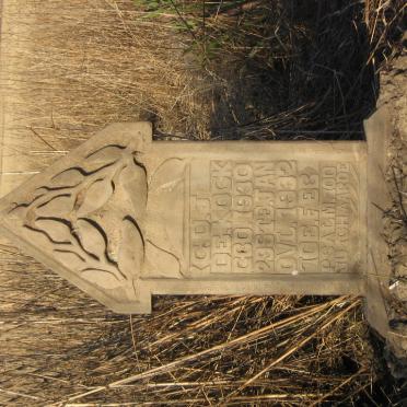 Mpumalanga, STANDERTON district, Niekerksvley 380 IS, farm cemetery_1