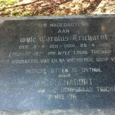 TRICHARDT Carolus 1811-1901