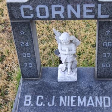 NIEMAND B.C.J. 1979-1980