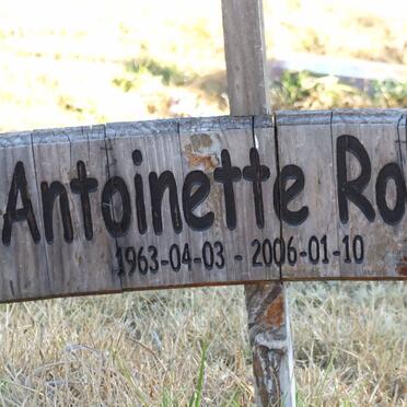 ROOD Antoinette 1963-2006