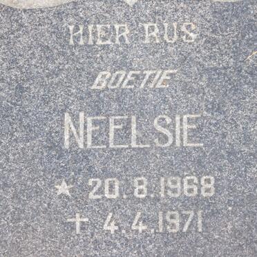 SCHALKWYK Dirk P.J., van 1931-1971 &amp; Hester J. v.d. WALT 1935-1971 :: van SCHALKWYK Neelsie 1968-1971