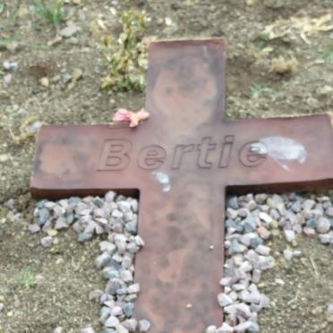 ? Bertie