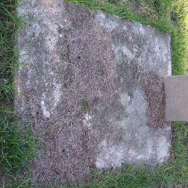 VENTER M.C.J. 1919-1920