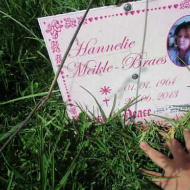 BRAES Hannelie, MEIKLE 1964-2013