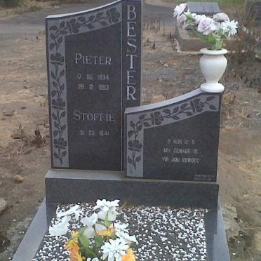BESTER Pieter 1934-1993 &amp; Stoffie 1941-