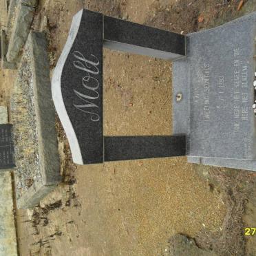 MOLL ? 1993-1993 :: MOLL ? 1993-1993