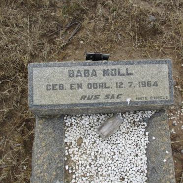 MOLL 1964-1964