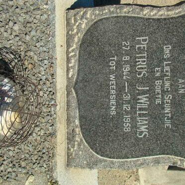 WILLIAMS Petrus J. 1944-1958