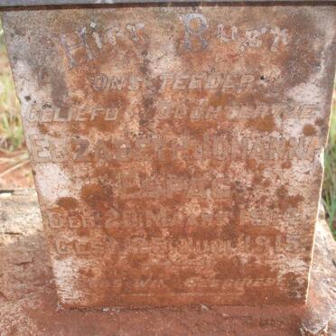 ESPAG Elizabeth Johanna 1914-1915