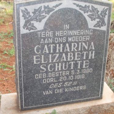 SCHÜTTE Catharina Elizabeth nee BESTER 1890-1918