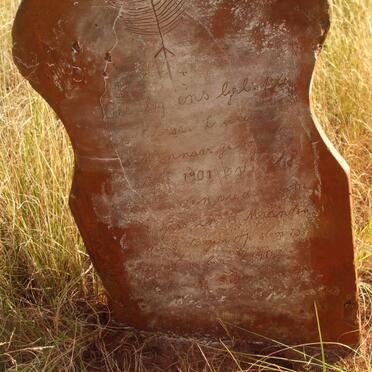 WINNAAR ? S. Lewiesa, de 1901-1903