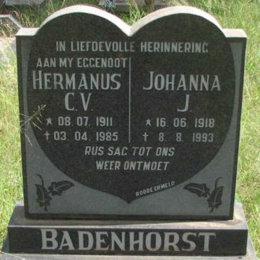 BADENHORST Hermanus C.V. 1911-1985 &amp; Johanna J. 1918-1993