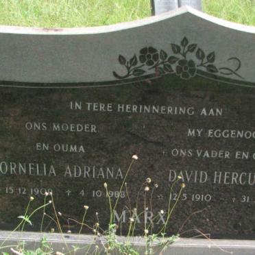 MARX David Hercules 1910-1984 &amp; Cornelia Adriana 1909-1988