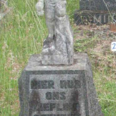 ODENDAAL Alwyn 1944-1949