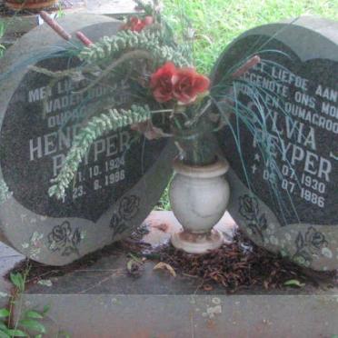 PEYPER H. 1924-1988 &amp; Sylvia J. 1930-1986