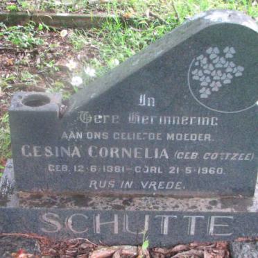 SCHUTTE Gesina Cornelia nee COETZEE 1881-1960