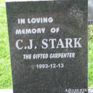 STARK C.J. -1993