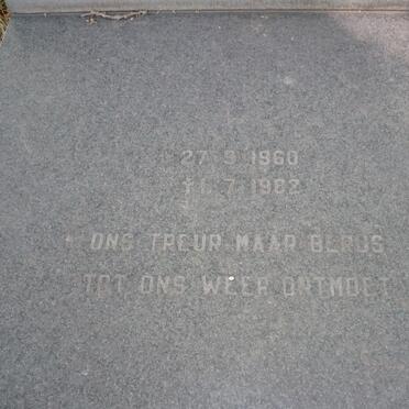 LUUS Rozan nee VAN ZWEEL 1960-1982