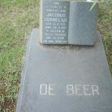 BEER Jacobus Cornelius, de  1951-1981