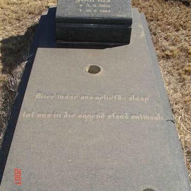 GREYLING Marius 1955-1984