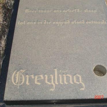 GREYLING Marius 1955-1984