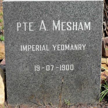 MESHAM A. -1900