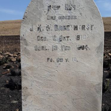 BADENHORST J.A.W. 1818-1894