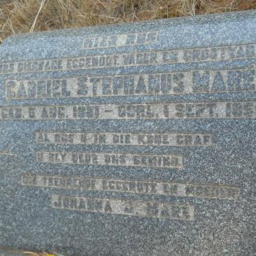 MARÉ Gabriel Stephanus 1881-1950