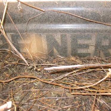 REINERS Johannes Adolf Hendrik 1897-1949