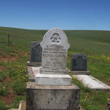 MARÉ Hester Adriana nee COETZEE 18??-19??