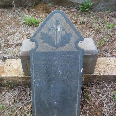 BOTHA Johan Hendrik 1917-1919