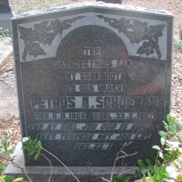 SCHOEMAN Petrus A. 1905-1967