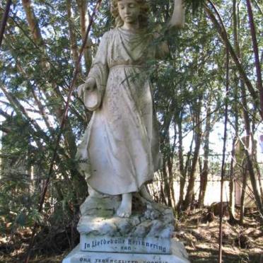COETZEE Stephanus Hermanus 1911-1911