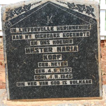 Mpumalanga, BELFAST district, Tonteldoos, Windhoek 222_2, farm cemetery
