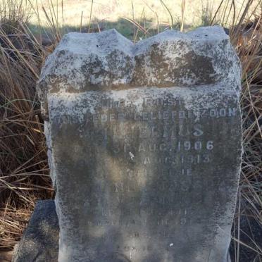 BREYTENBACH Wilhelmus 1906-1913 :: BREYTENBACH Johanna Jacoba 1912-1914