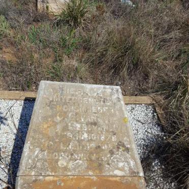WYK C.G., van 1878-