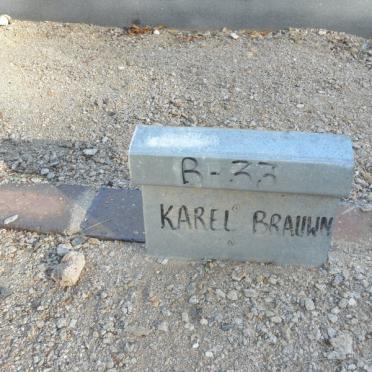 BRAUWN Karel