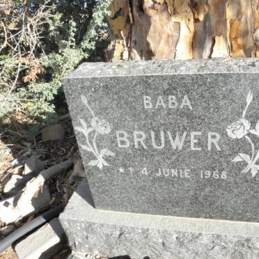 BRUWER 1968