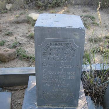 JACOBS Gesina Susana 1905-1905 :: JACOBS Johannes Albrecht 1906-1906