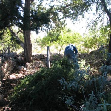 5. Trying to clear the bushes