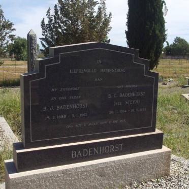 BADENHORST B.J. 1888-1961 &amp; B.C. STEYN 1894-1988