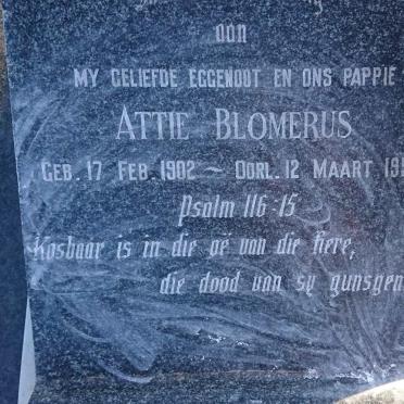 BLOMERUS Attie 1902-1953