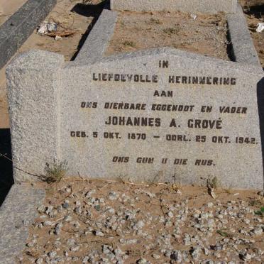 GROVE Johannes A. 1870-1942