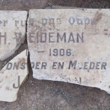 WEIDEMAN H. 1815-1906 :: WEIDEMAN J. 1850-1909 &amp; B. VERMEULEN 1843-1907